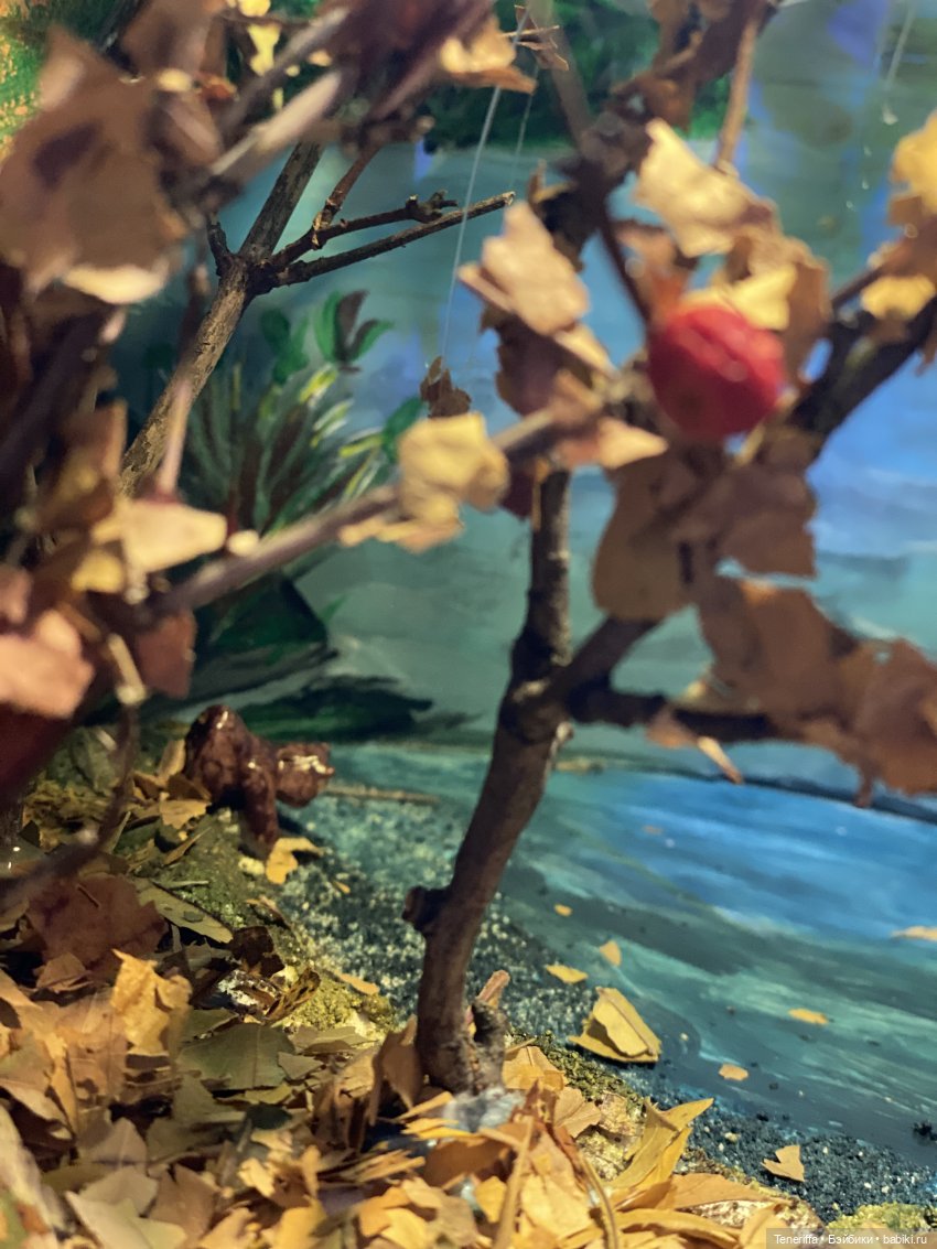 мишка ловит рыбку