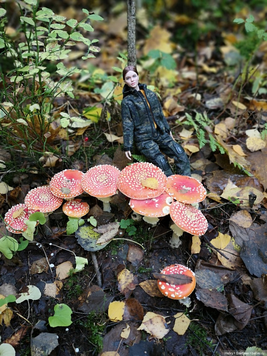 Мисс Спецназ и осень | Бэйбики Мисс Спецназ и осень — Коллекционные экшн