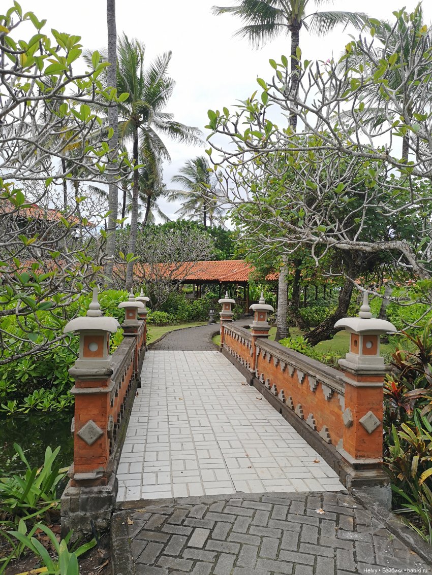 Бейли на острове Бали — Туризм и путешествия: фотоотчеты из поездок