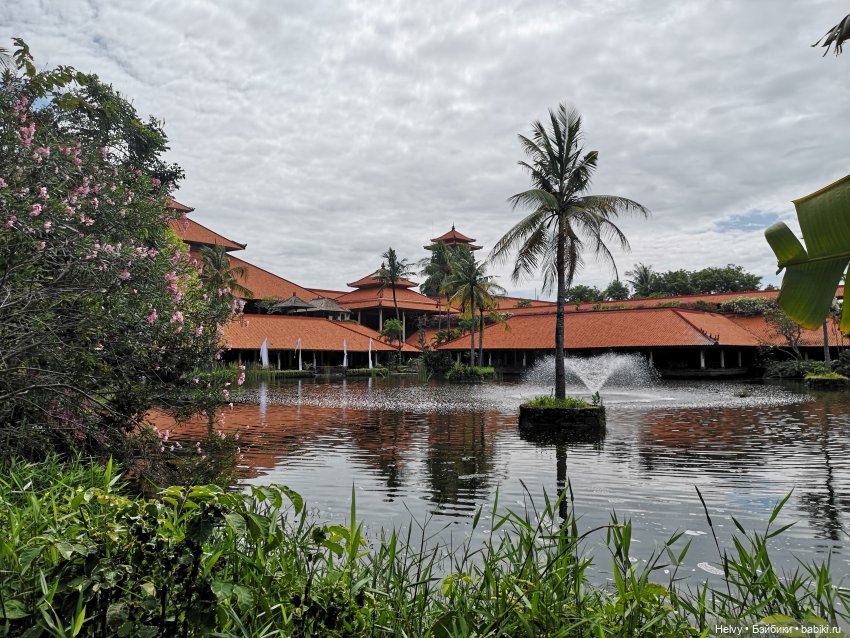 Бейли на острове Бали — Туризм и путешествия: фотоотчеты из поездок