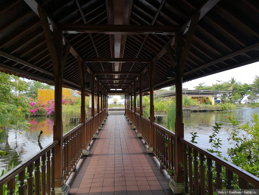 Бейли на острове Бали — Туризм и путешествия: фотоотчеты из поездок