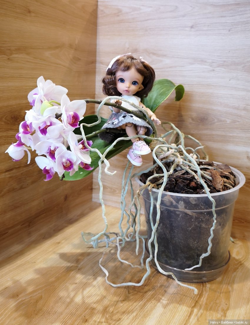 Pukifee Ante от Fairyland | Бэйбики Pukifee Ante от Fairyland (фото 5)