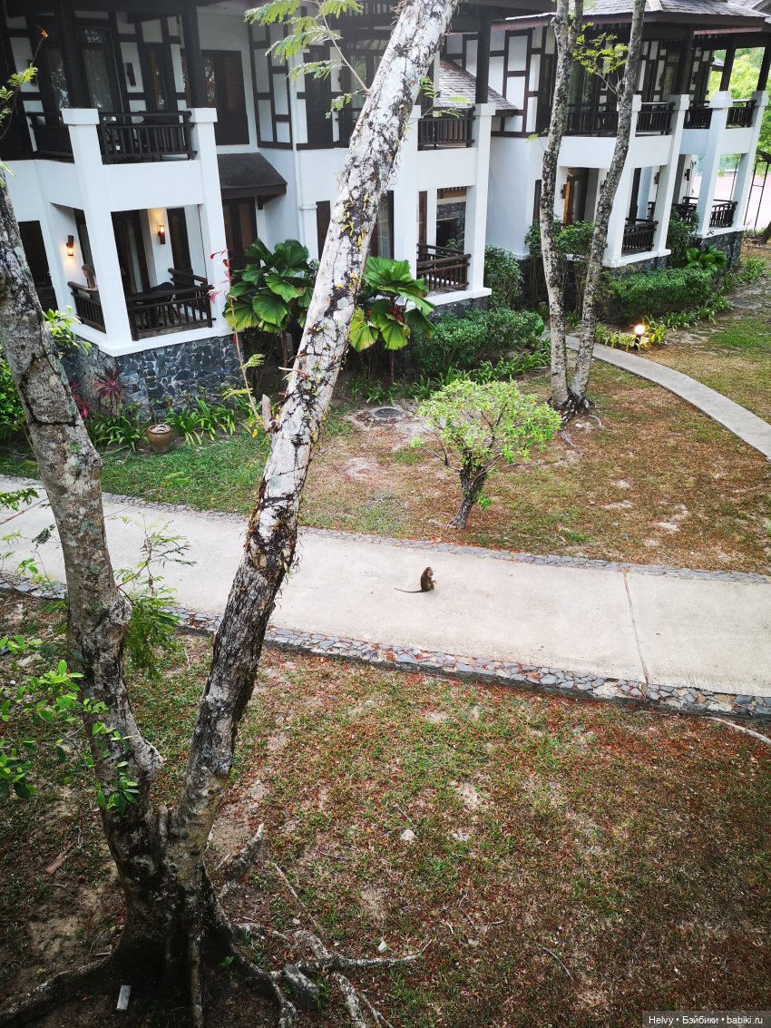 Малайзия глазами Карлы. Остров Рибак