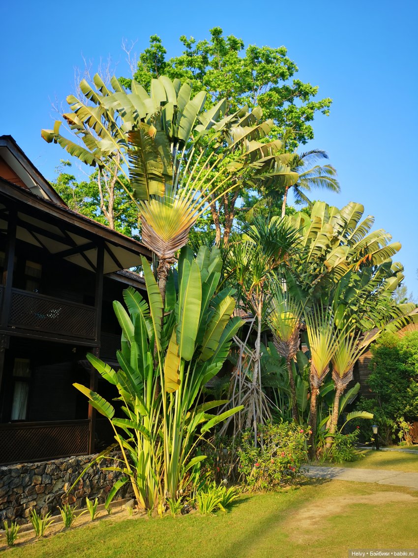 Малайзия глазами Карлы. Остров Рибак