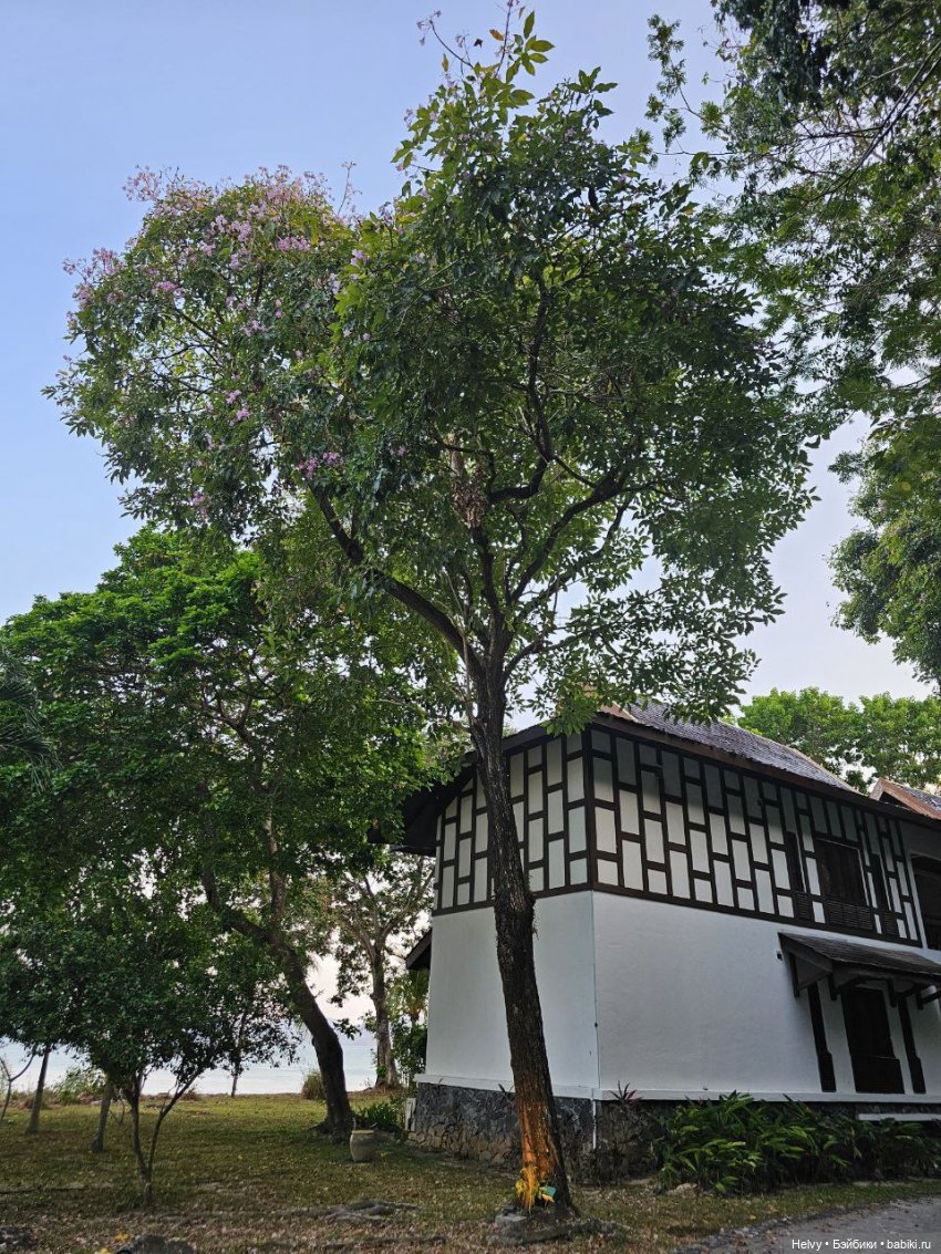 Малайзия глазами Карлы. Остров Рибак