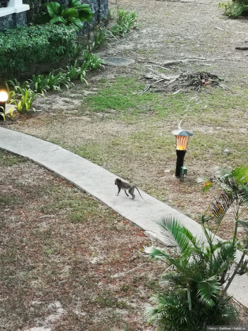 Малайзия глазами Карлы. Остров Рибак