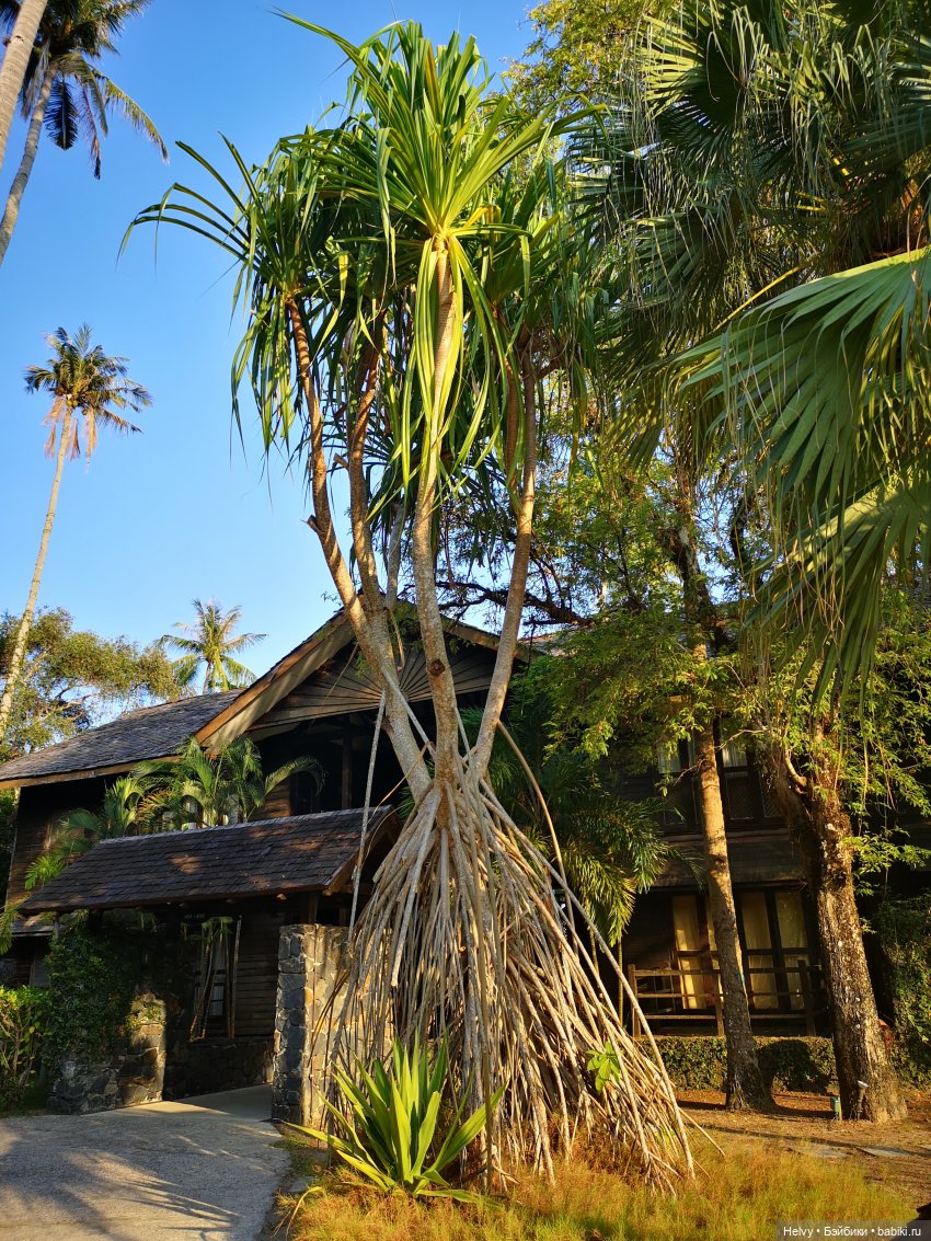 Малайзия глазами Карлы. Остров Рибак