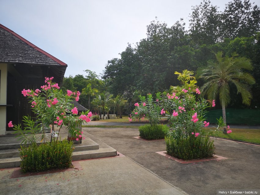 Малайзия глазами Карлы. Остров Рибак