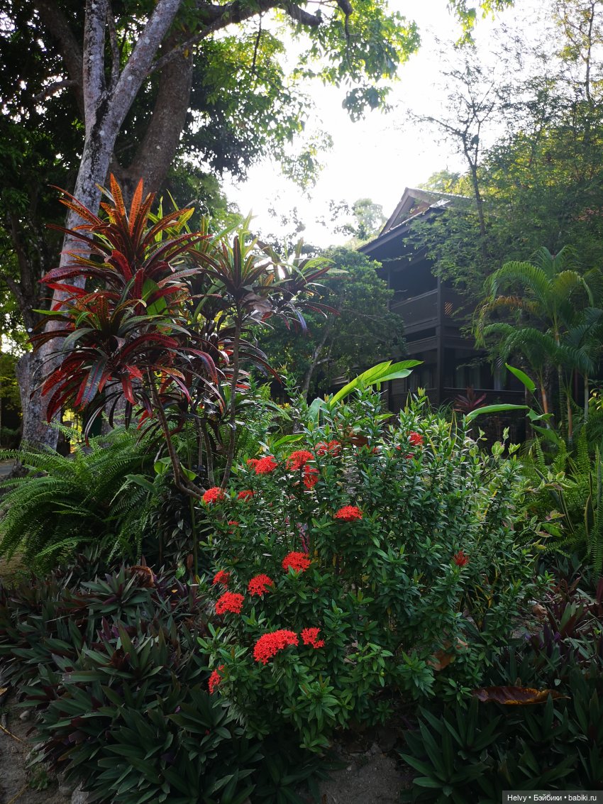 Малайзия глазами Карлы. Остров Рибак