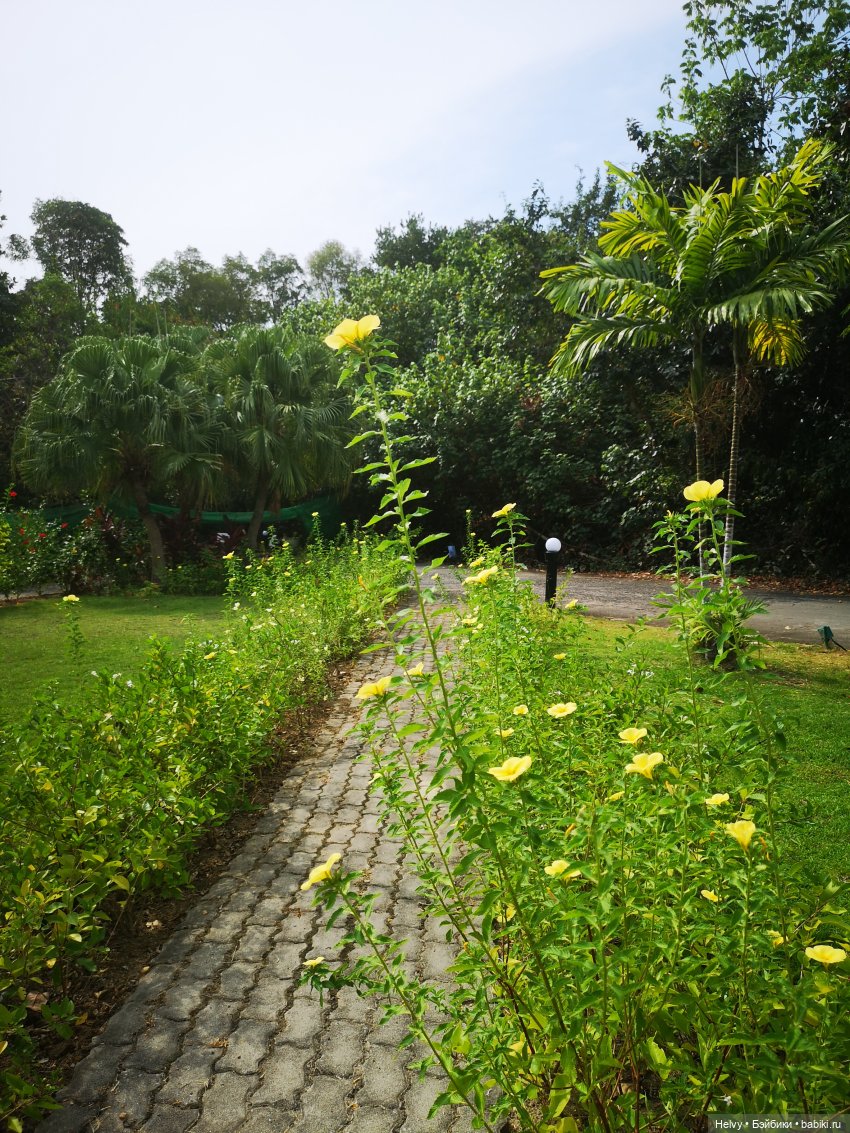 Малайзия глазами Карлы. Остров Рибак