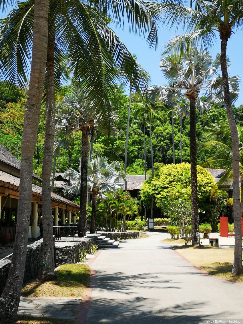 Малайзия глазами Карлы. Остров Рибак (фото 5)