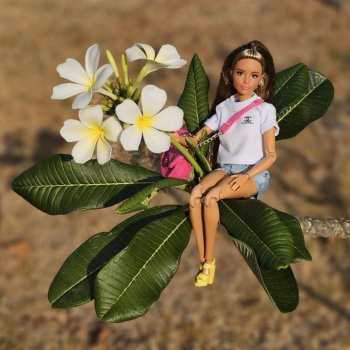 Малайзия глазами Карлы. Остров Рибак