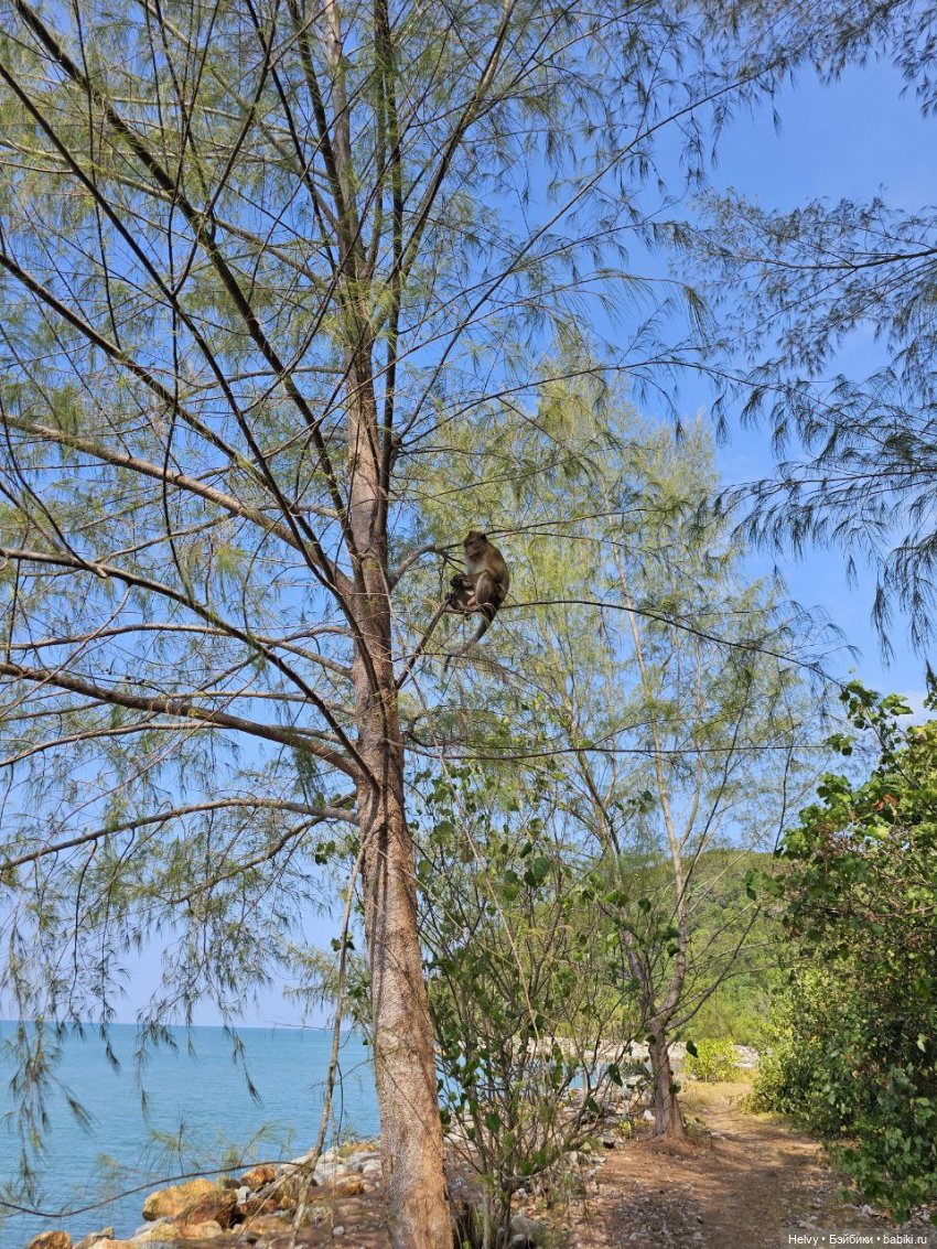 Малайзия глазами Карлы. Остров Рибак