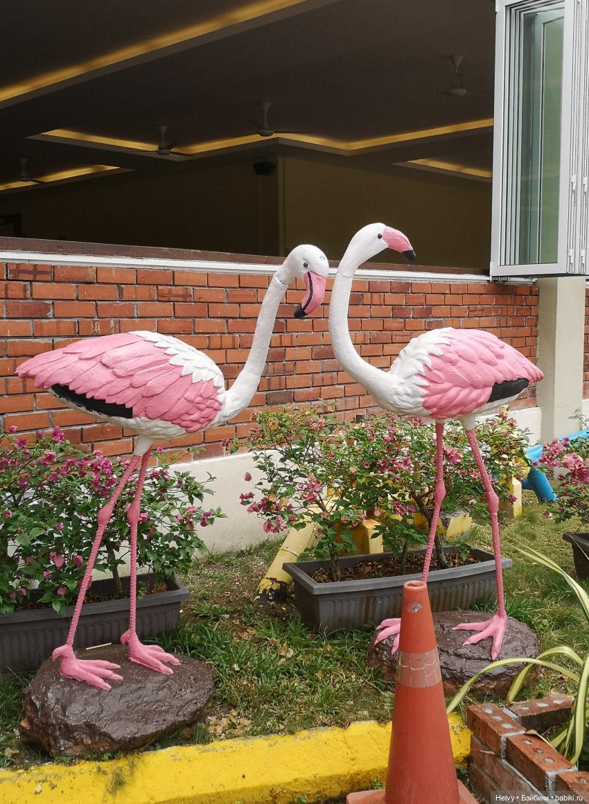 Малайзия глазами Карлы. Остров Лангкави | Бэйбики Малайзия глазами Карлы. Остров Лангкави