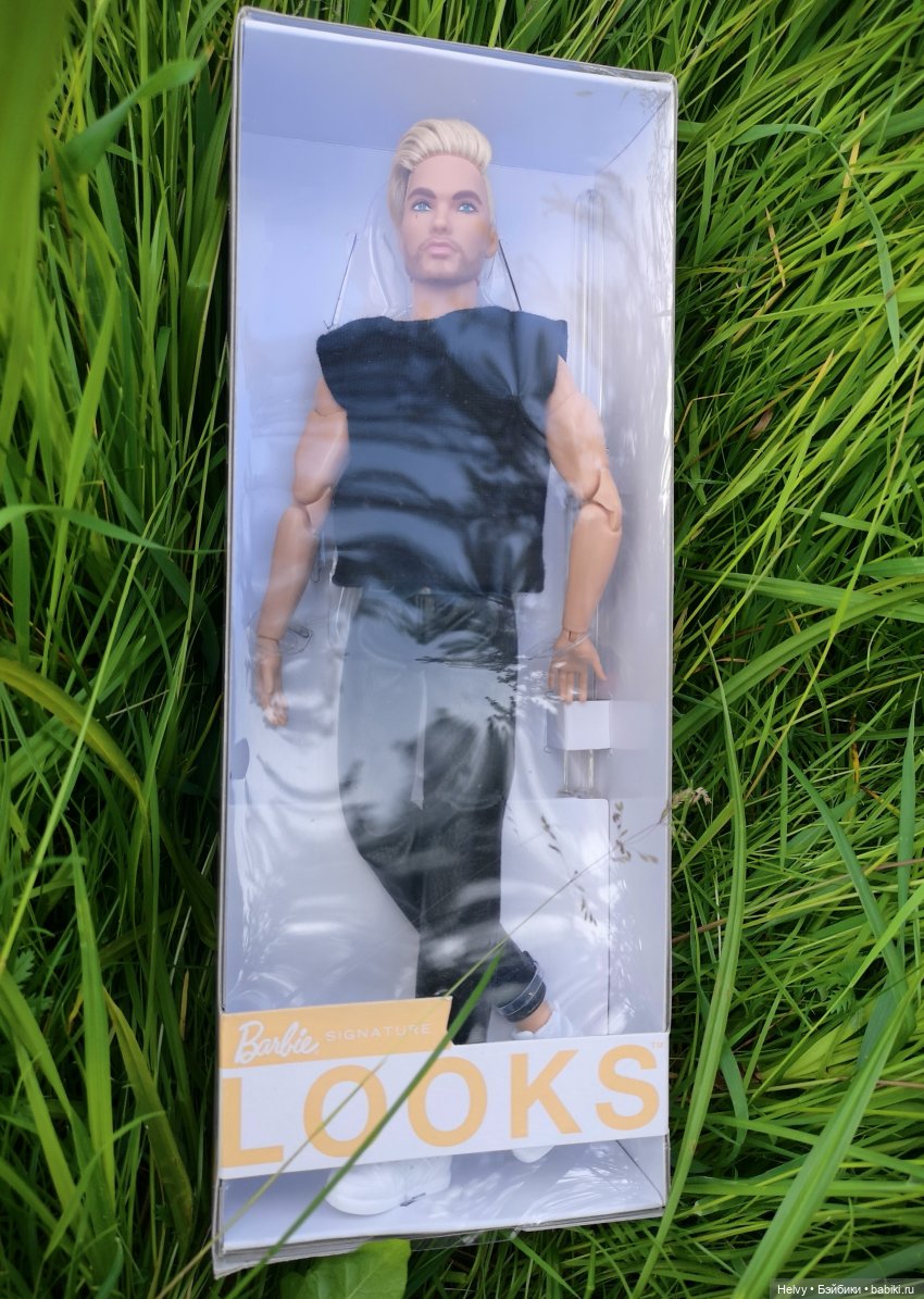 Шон Looks #5 — Куклы Barbie (Барби): Looks