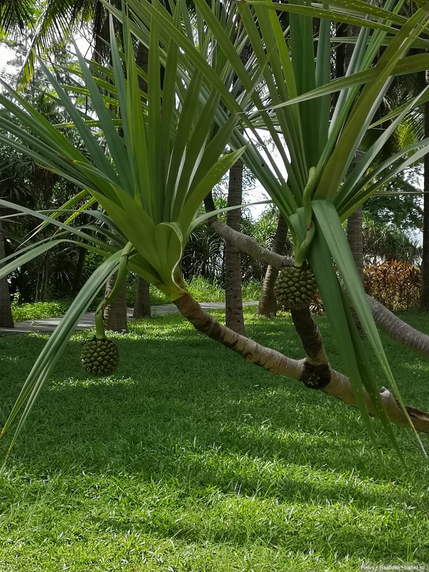 Китай глазами Андры. Остров Хайнань