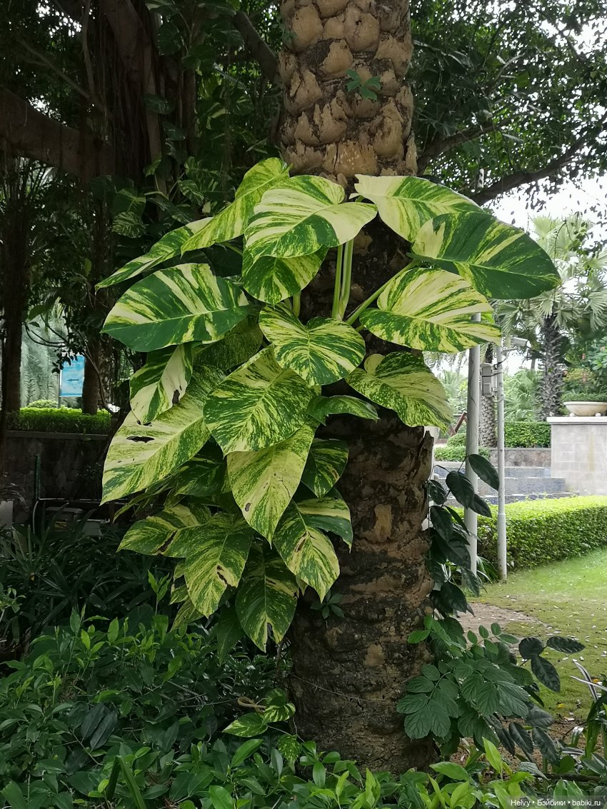 Китай глазами Андры. Остров Хайнань