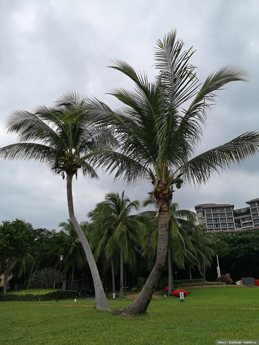 Китай глазами Андры. Остров Хайнань