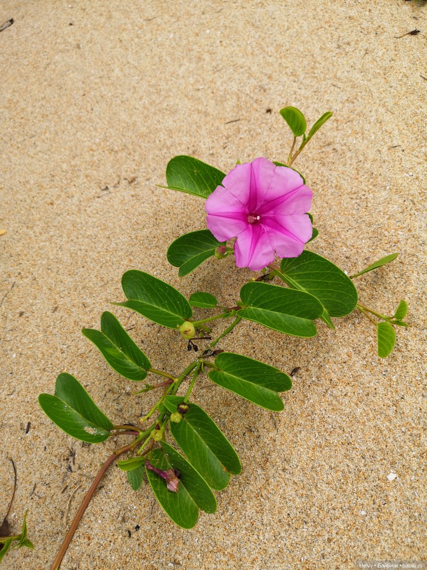 Китай глазами Андры. Остров Хайнань