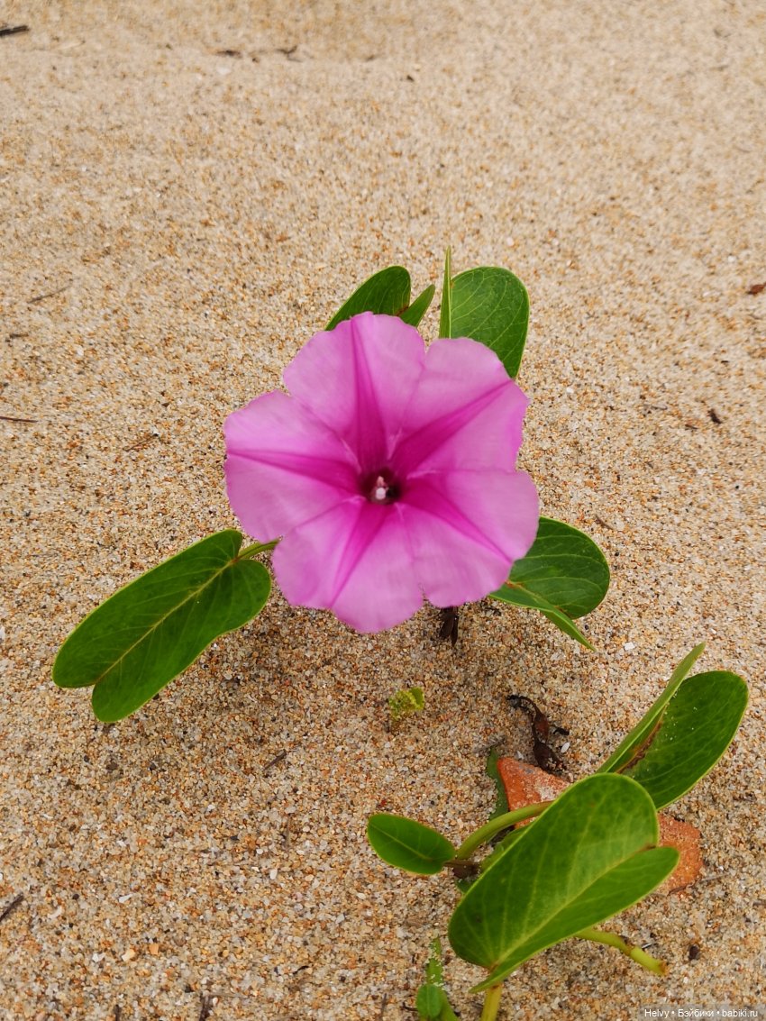 Китай глазами Андры. Остров Хайнань