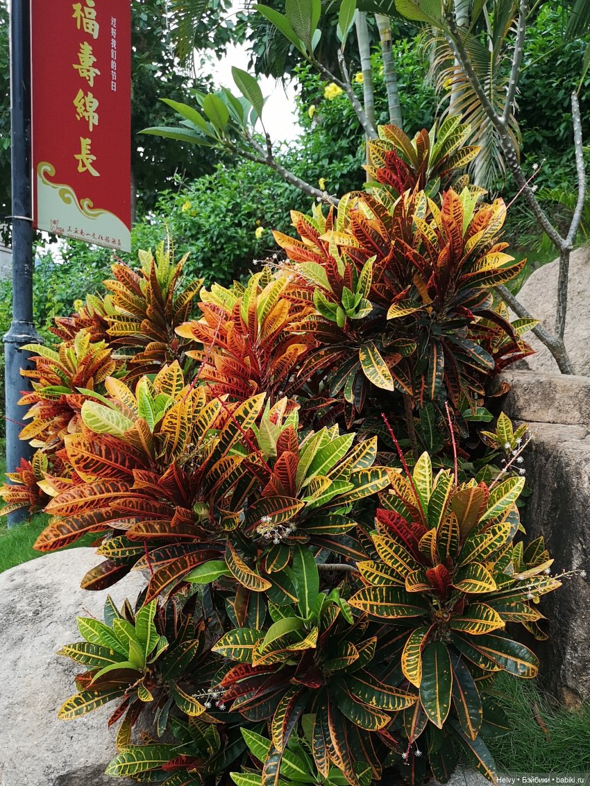 Китай глазами Карлы. Остров Хайнань