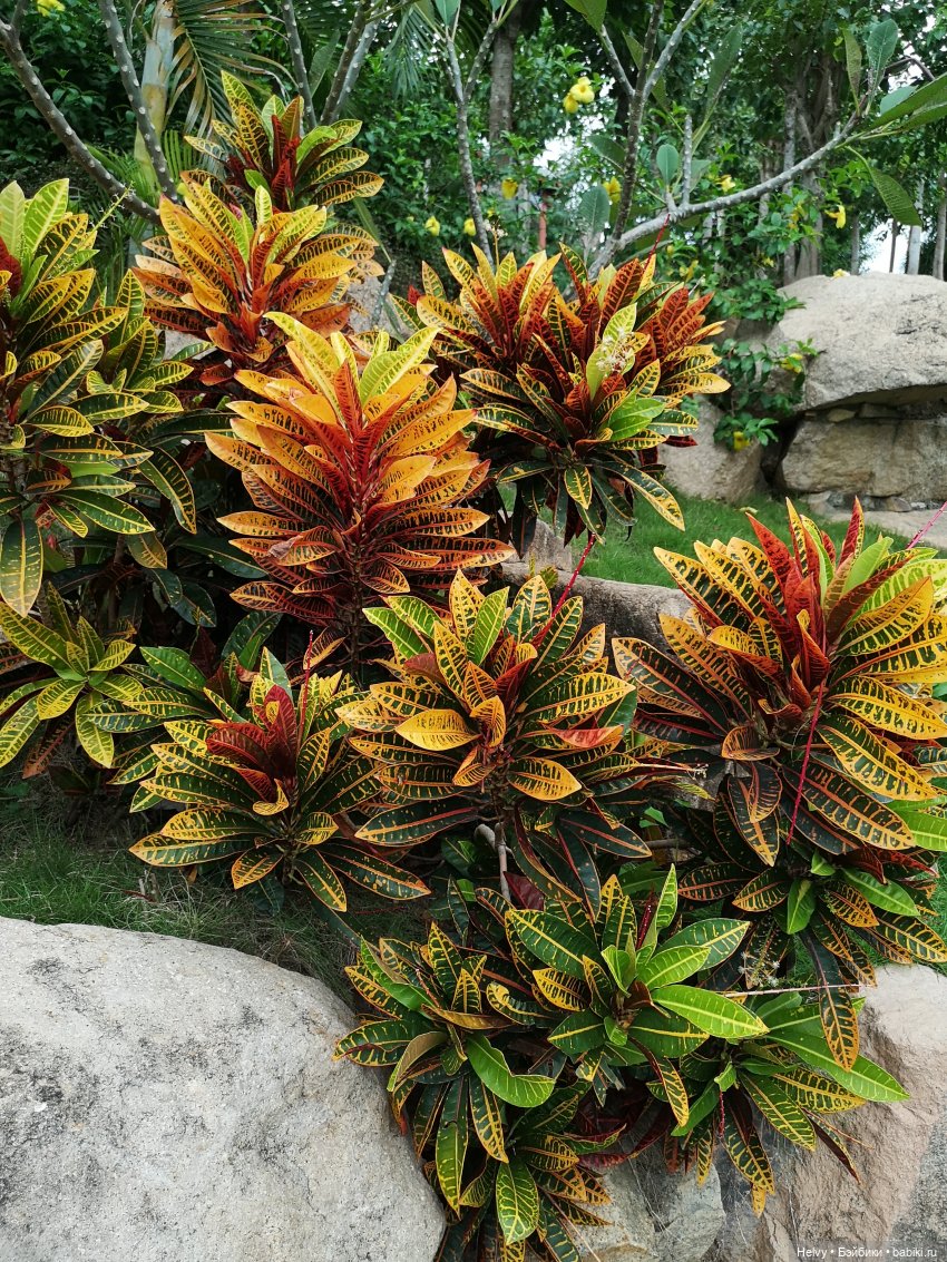 Китай глазами Карлы. Остров Хайнань