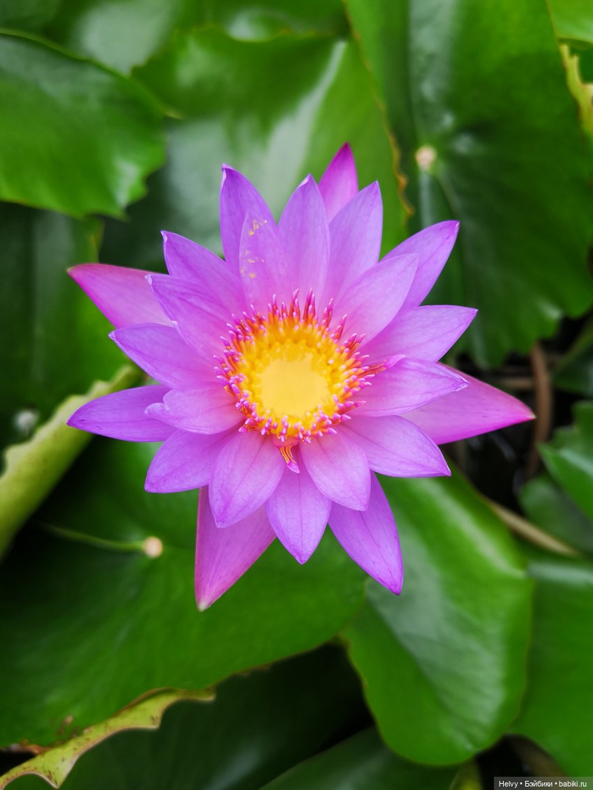 Китай глазами Карлы. Остров Хайнань