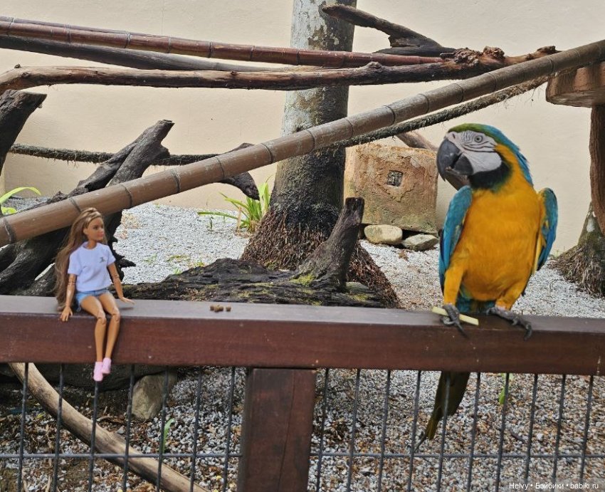 Итоги 2024 — Коллекции игровых кукол (Playline): фото полок (фото 7)