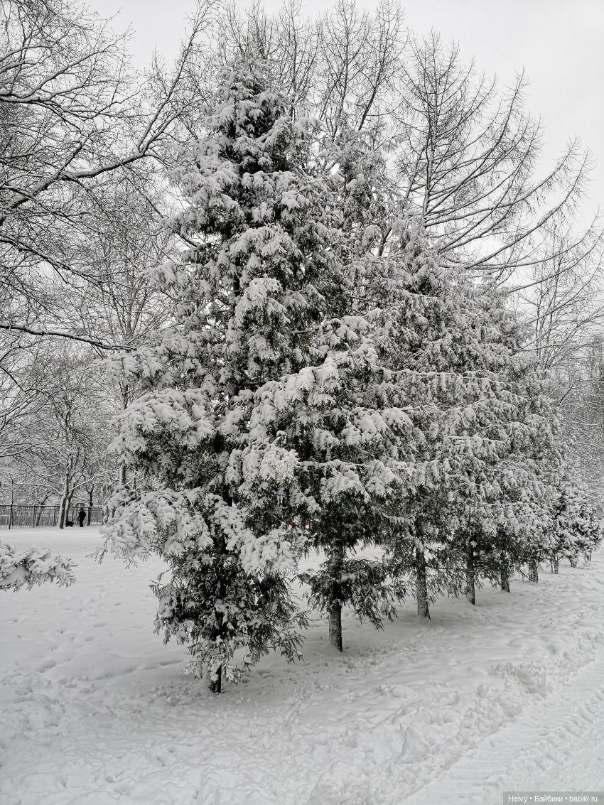 Зимняя прогулка с Герми или новые шарики Zuru