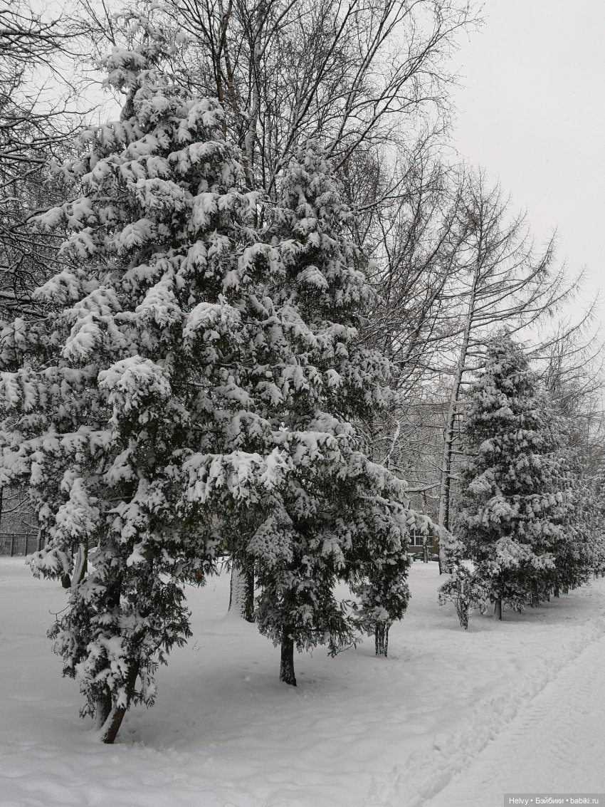 Зимняя прогулка с Герми или новые шарики Zuru (фото 3)
