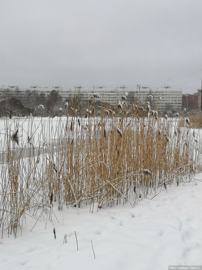 Зимняя прогулка с Герми или новые шарики Zuru (фото 5)