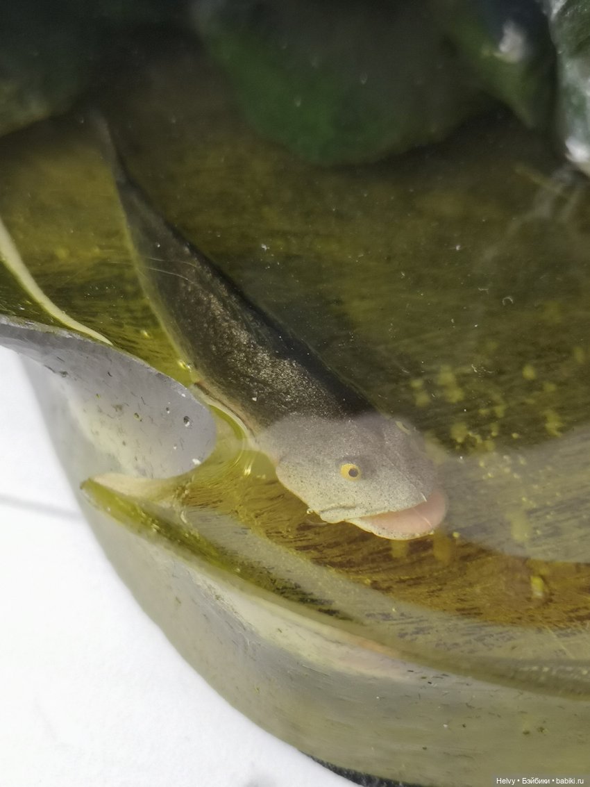 Смеагол и Голлум от Asmus toys (фото 5)