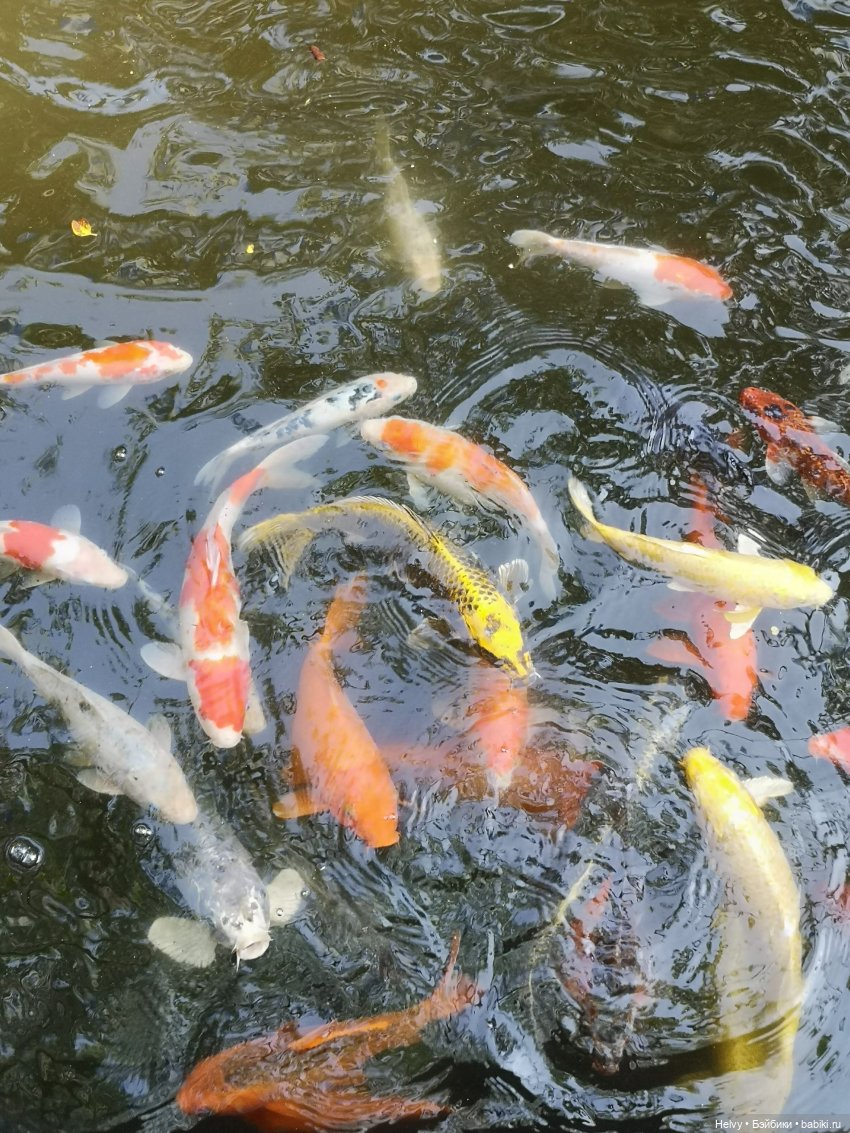 Китай глазами Виктории. Остров Хайнань