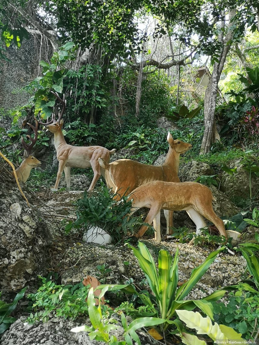 Китай глазами Виктории. Остров Хайнань