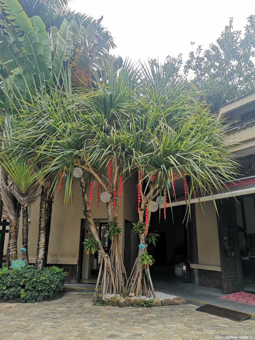 Китай глазами Карлы. Парк Янода на о. Хайнань