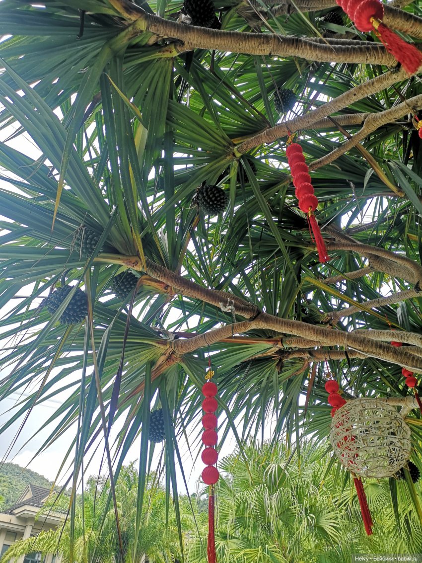 Китай глазами Карлы. Парк Янода на о. Хайнань