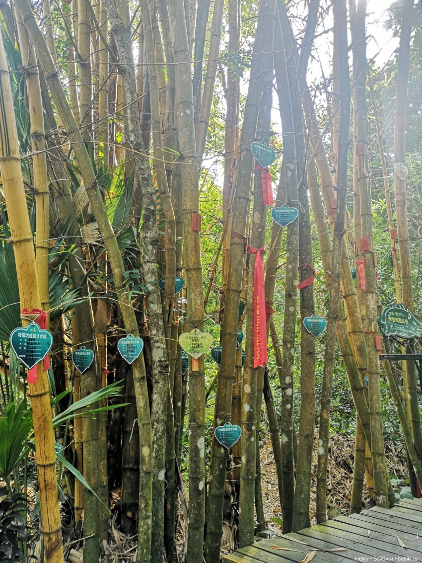 Китай глазами Карлы. Парк Янода на о. Хайнань