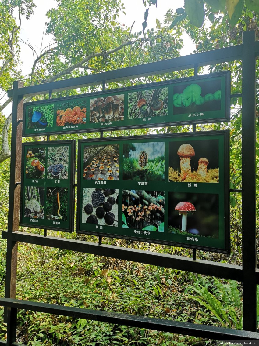 Китай глазами Карлы. Парк Янода на о. Хайнань