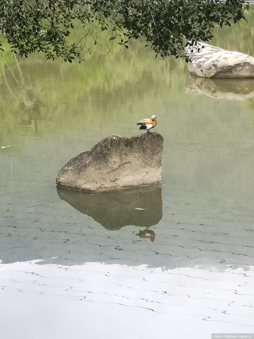 Китай глазами Карлы. Парк Янода на о. Хайнань