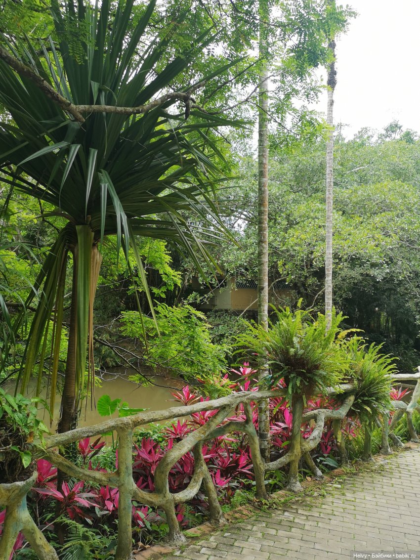 Китай глазами Карлы. Парк Янода на о. Хайнань