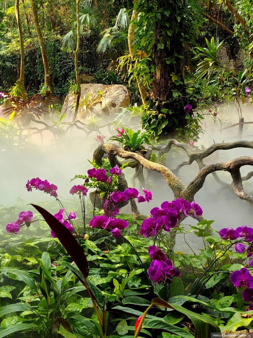 Китай глазами Карлы. Парк Янода на о. Хайнань