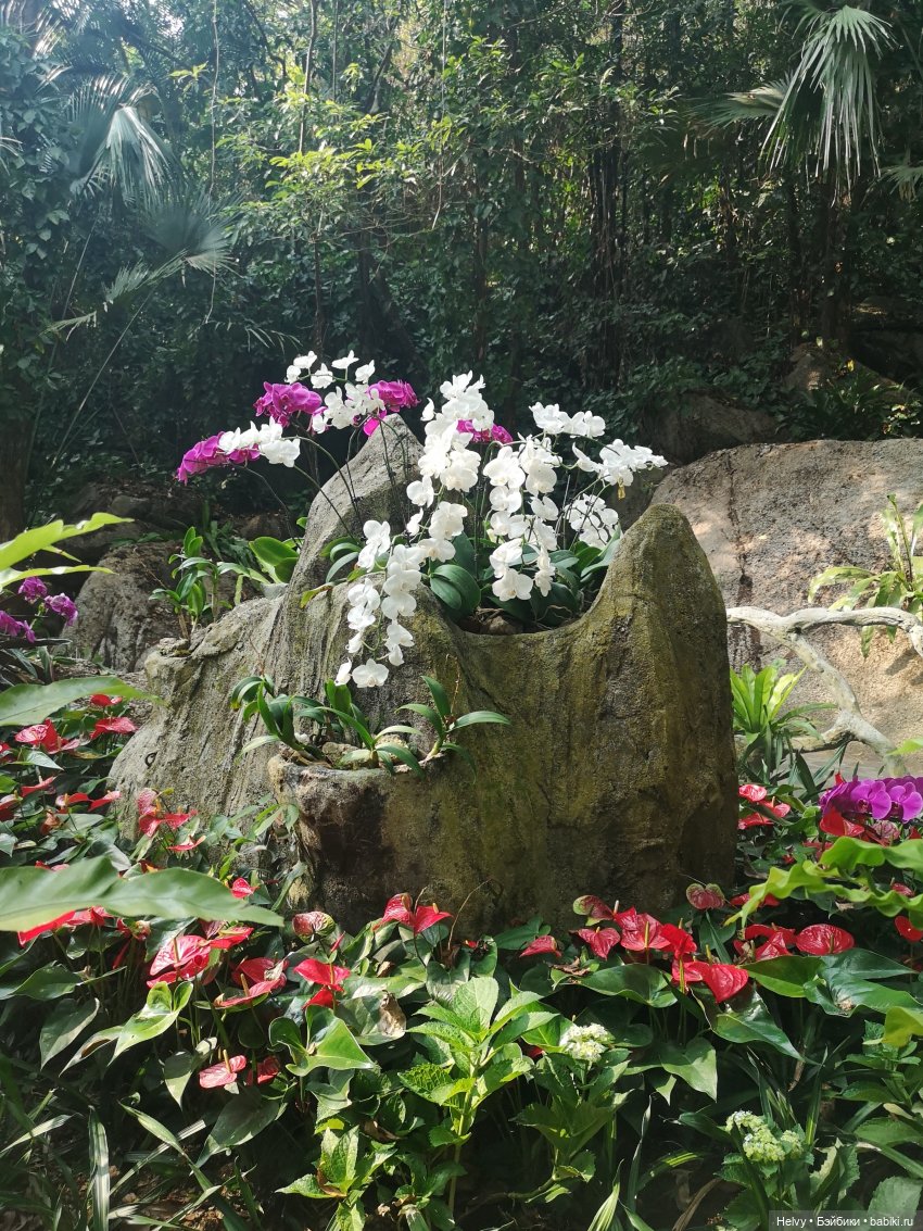 Китай глазами Карлы. Парк Янода на о. Хайнань