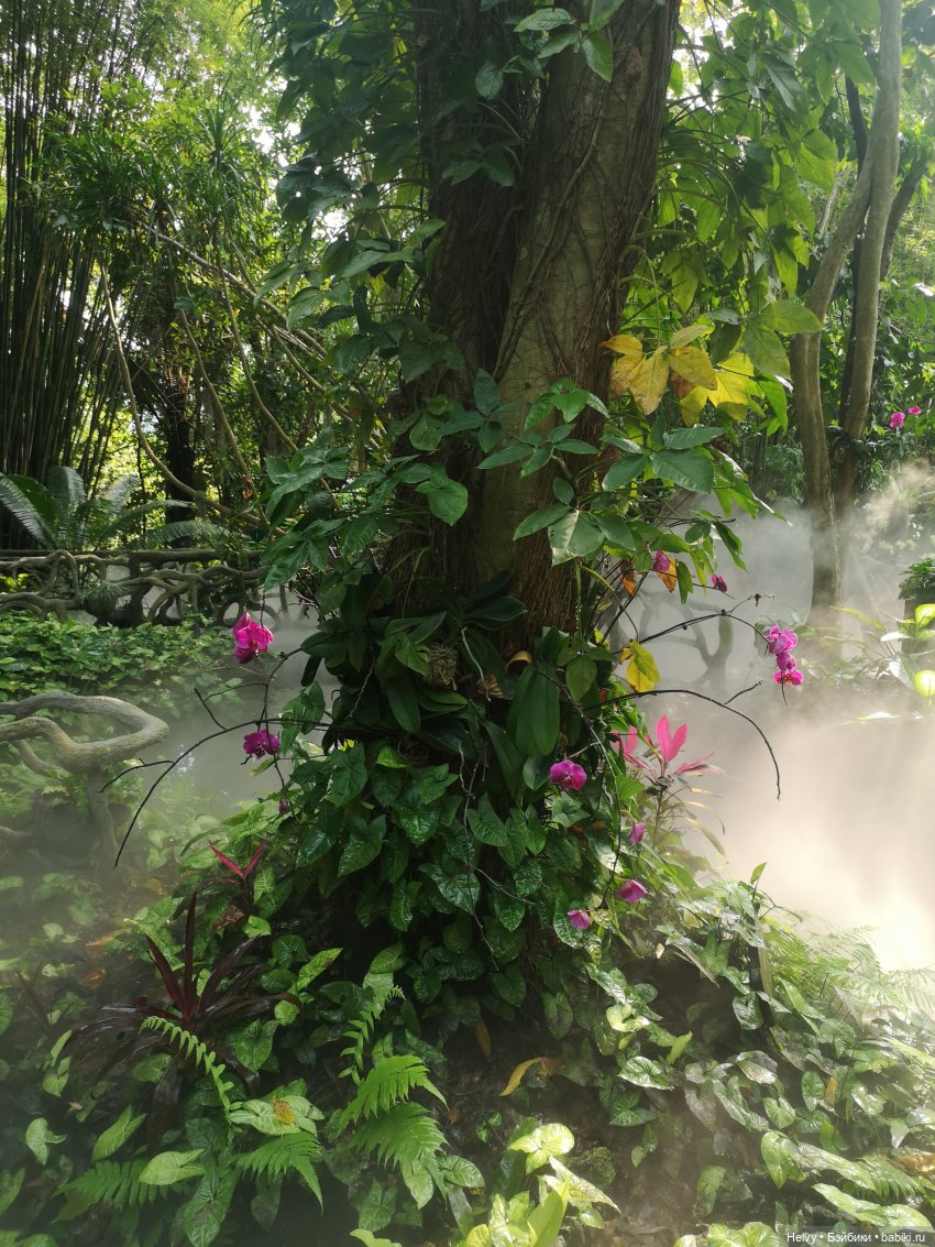 Китай глазами Карлы. Парк Янода на о. Хайнань