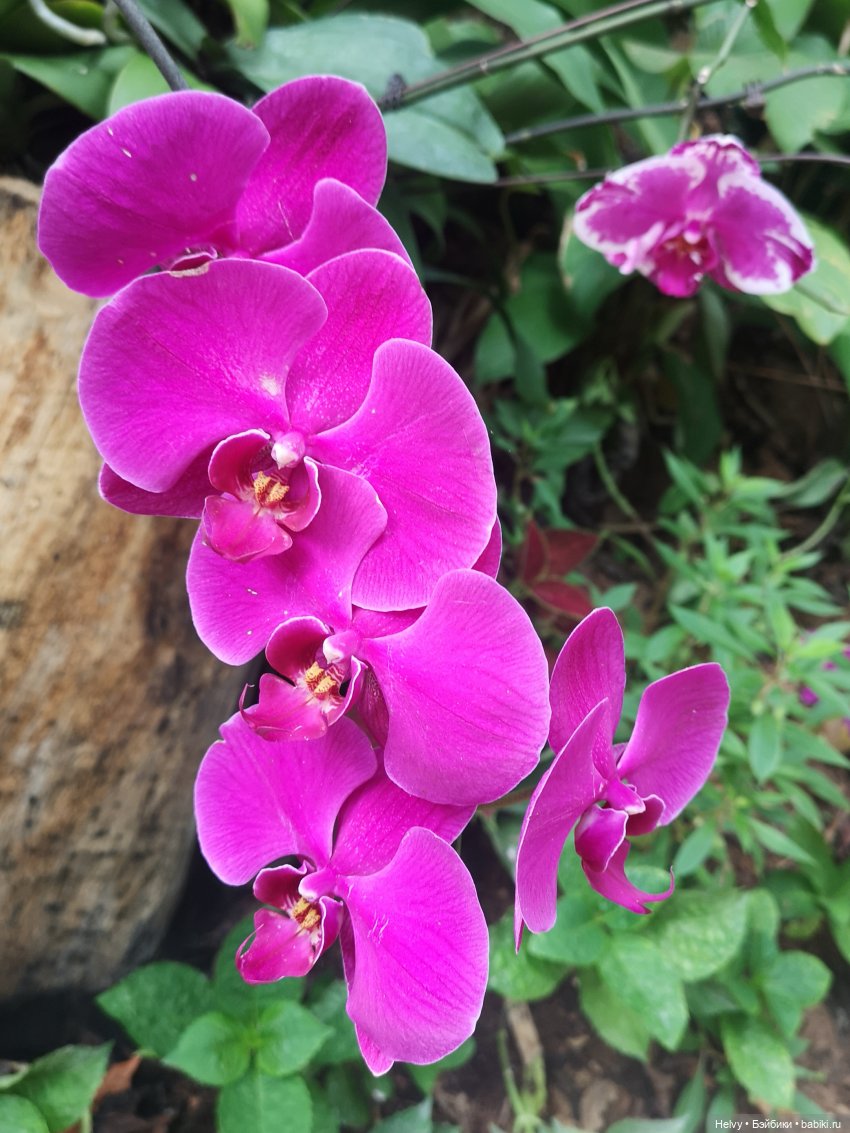 Китай глазами Карлы. Парк Янода на о. Хайнань