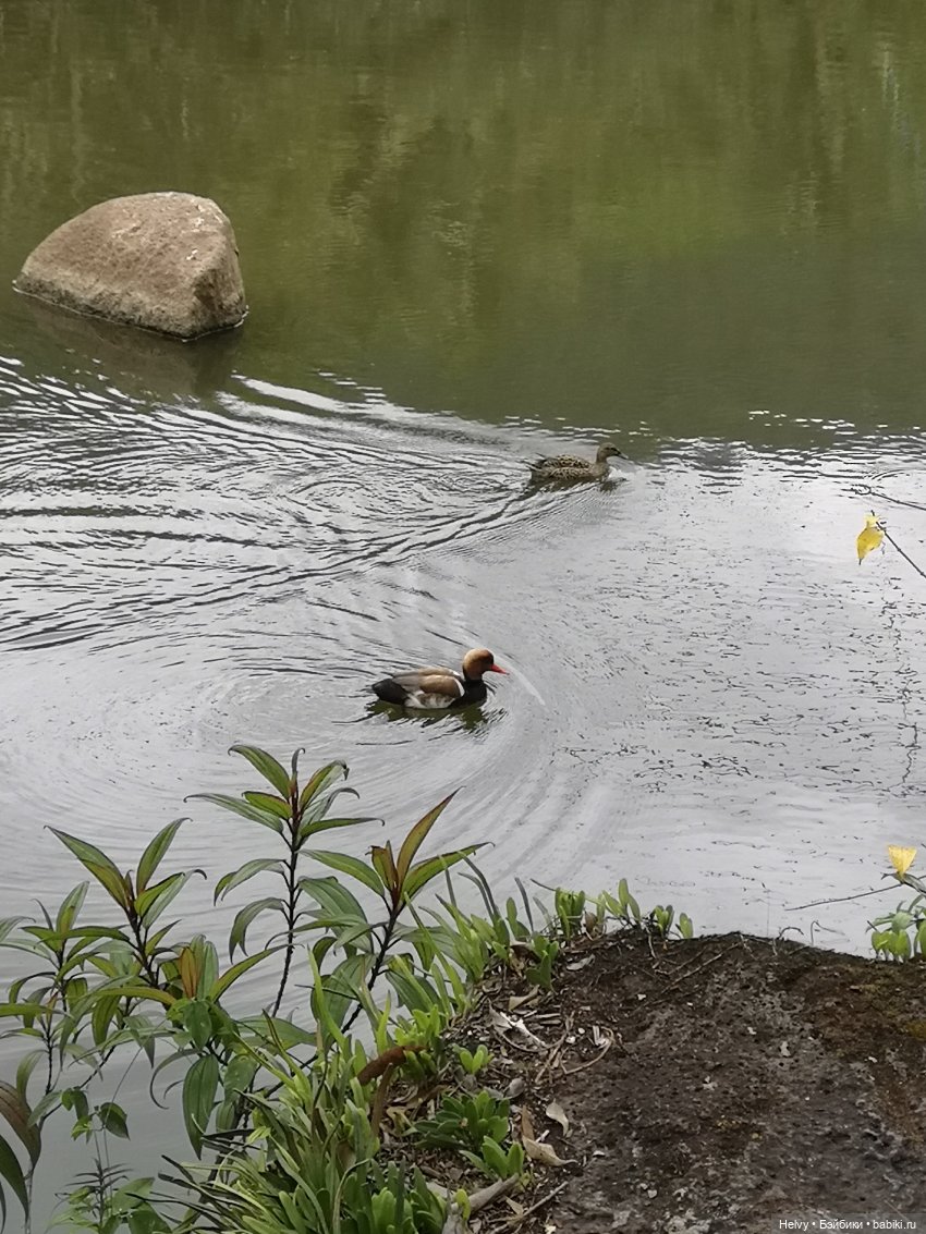 Китай глазами Карлы. Парк Янода на о. Хайнань