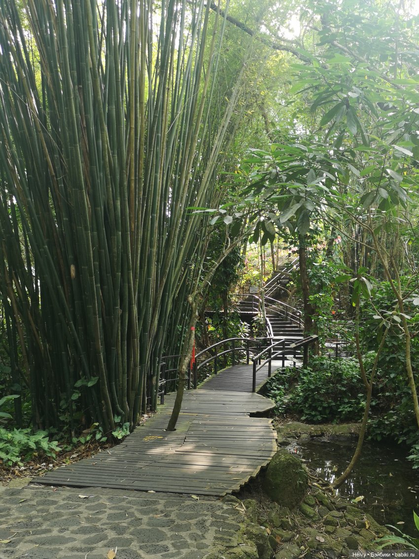 Китай глазами Карлы. Парк Янода на о. Хайнань