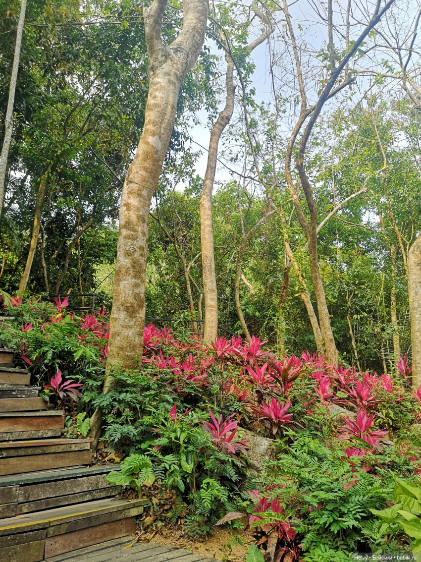 Китай глазами Карлы. Парк Янода на о. Хайнань