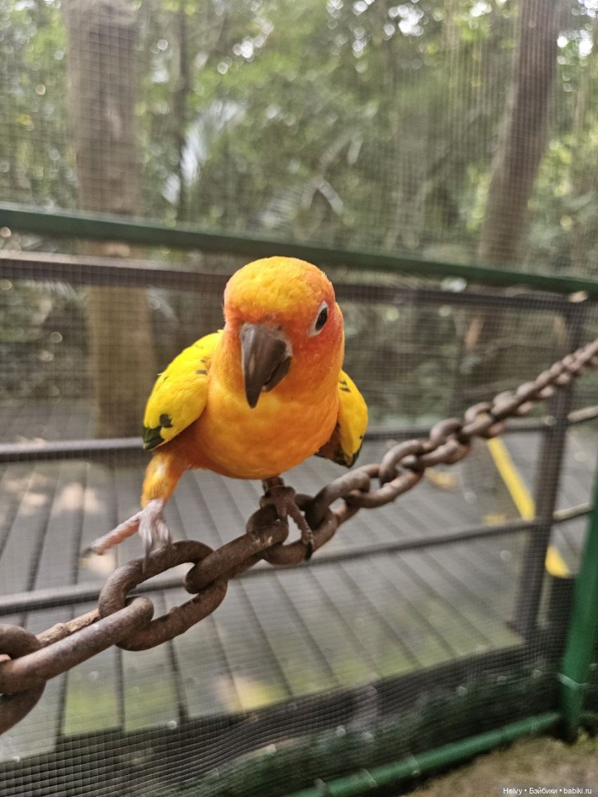 Китай глазами Карлы. Парк Янода на о. Хайнань