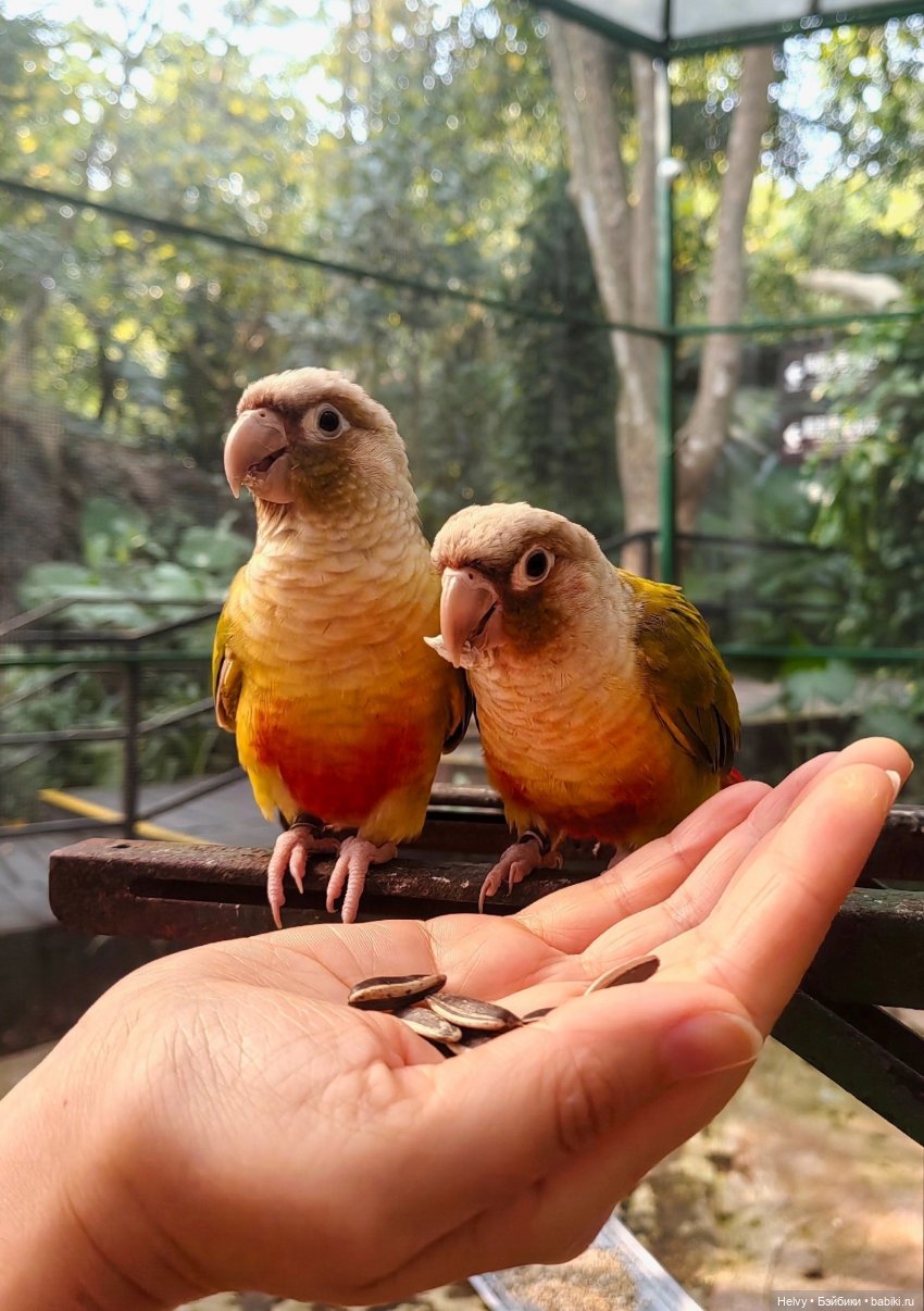 Китай глазами Карлы. Парк Янода на о. Хайнань