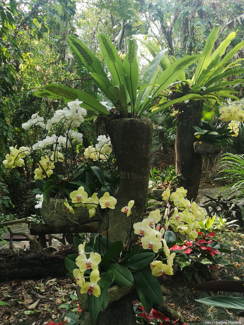 Китай глазами Карлы. Парк Янода на о. Хайнань